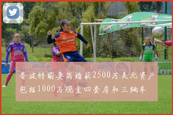 香波特前妻离婚获2500万美元资产包括1000万现金四套房和三辆车