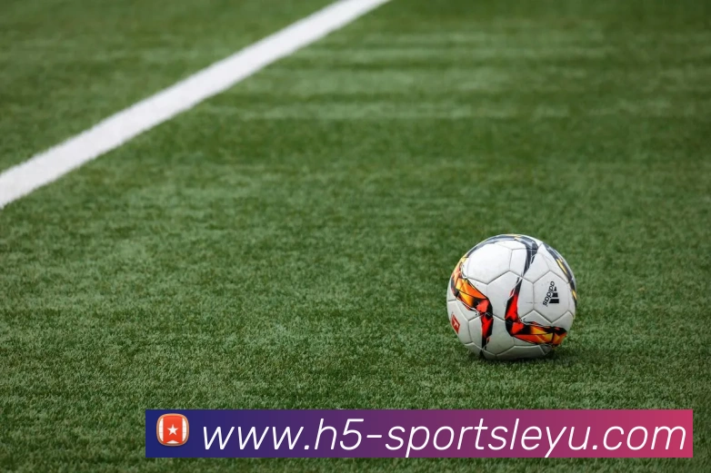 乐鱼体育APP 封面图